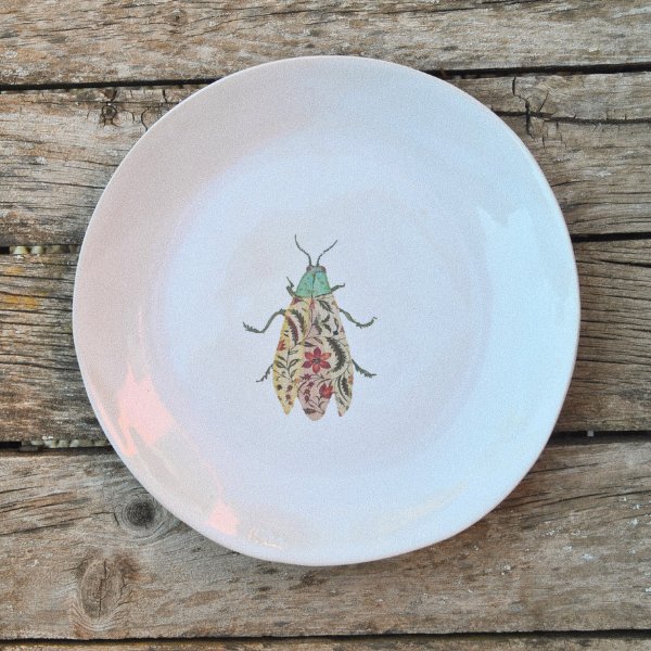 6 Platos Grandes Bichos