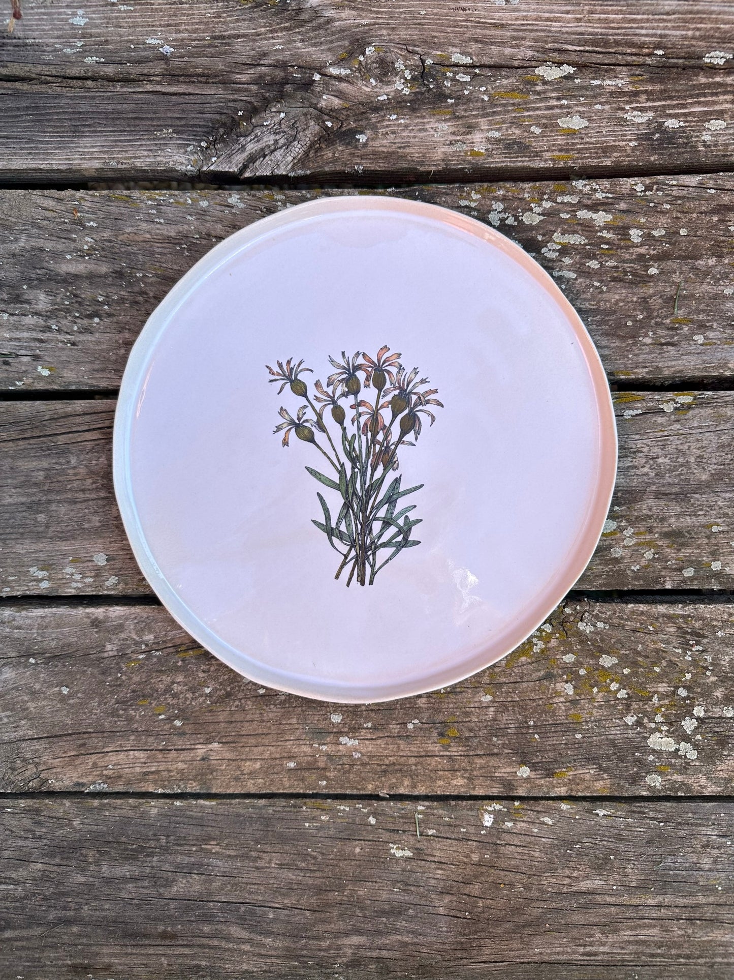 6 Platos Grandes Flores