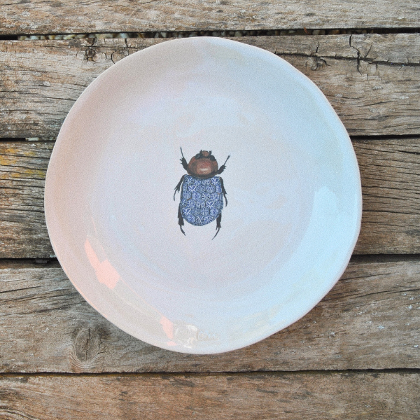 6 Platos Grandes Bichos