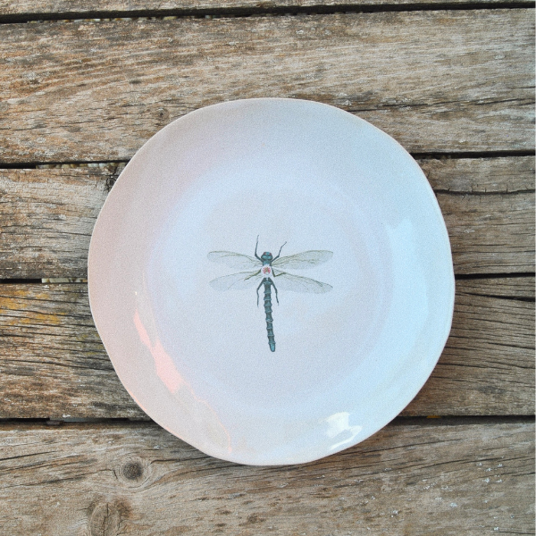 6 Platos Grandes Bichos