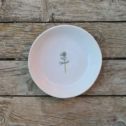 6 Platos Soperos Flor